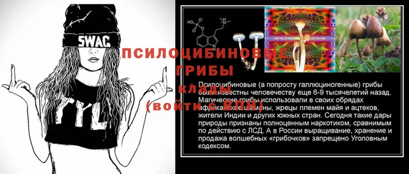 купить наркотики сайты  дарк нет как зайти  Галлюциногенные грибы ЛСД  Белорецк 